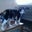 Debbie Anderson's profile image