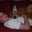 Jonathan Roop's profile image