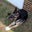 Barbara Walston's profile image