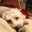 Donna C's profile image