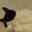 Louis Sowa's profile image