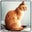 Elizabeth Schoettger's profile image