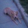 Zach Hines's profile image