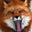 Lightpaws Hird's profile image