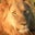 Sam Carlson's profile image