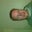 Chris Stevens's profile image