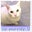 Hope's profile image