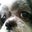 Tonya T-bone Hall's profile image