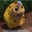 Aðalsteinn S's profile image