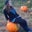 Lauren's profile image