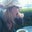 ashley yoder's profile image