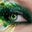Debbie Bailey's profile image