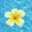 leahn murray's profile image