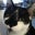Evangeline T.'s profile image
