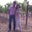 Carolina Pulecio's profile image