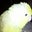 Trish Thompson's profile image