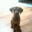 Derek Smith's profile image