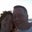 Brian Keller's profile image