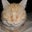 Christine Labruyere's profile image