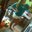 Shelby Anderson's profile image