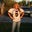 Shawna Birchard's profile image