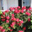 Brenda Terbrack Hein's profile image