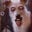 Randy B.'s profile image