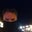 Randall Lewis's profile image