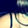 Michelle Kath's profile image