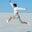 Zhen Zhang's profile image