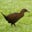 Mitch Weisburgh's profile image