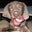 Brian B.'s profile image