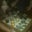 Patricia Erickson's profile image