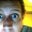 Casey Rogers's profile image