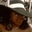 Taria Cooper's profile image