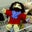 Nathan Wenzel's profile image