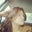 Tanya Ramirez Video Youtube