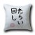 Hide SATO