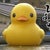 アヒル フラナガン