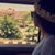 Haneen  