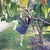 YangHee Kim