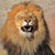 Mufa Lion