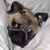Alan Bryant
