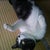 むった 