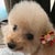 りょう ちゃん