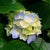 Susedjdmsk Skeksbd