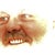 Richard Hill