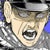 スメシ シメス