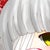 将軍 