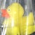 かつら こごろう